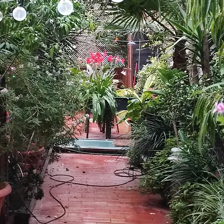 Jardin Secreto En El Centro De 2 Luxury tent Barcelona