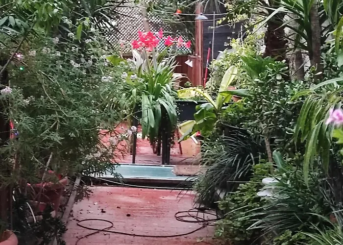 Jardin Secreto En El Centro De 2 Luksusowy namiot Barcelona